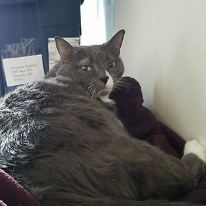 Meet your Posher, Krystina